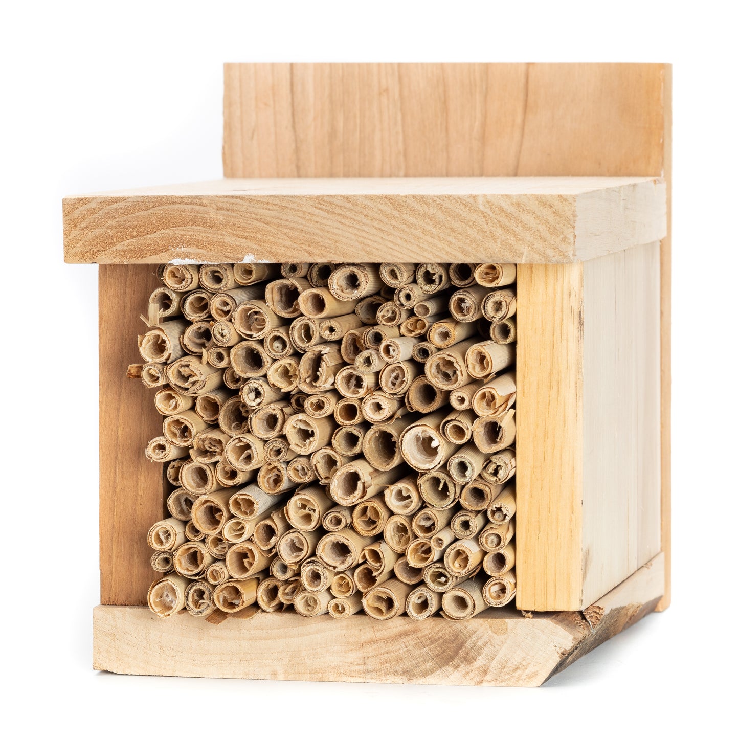 Native Bee Nesting Box