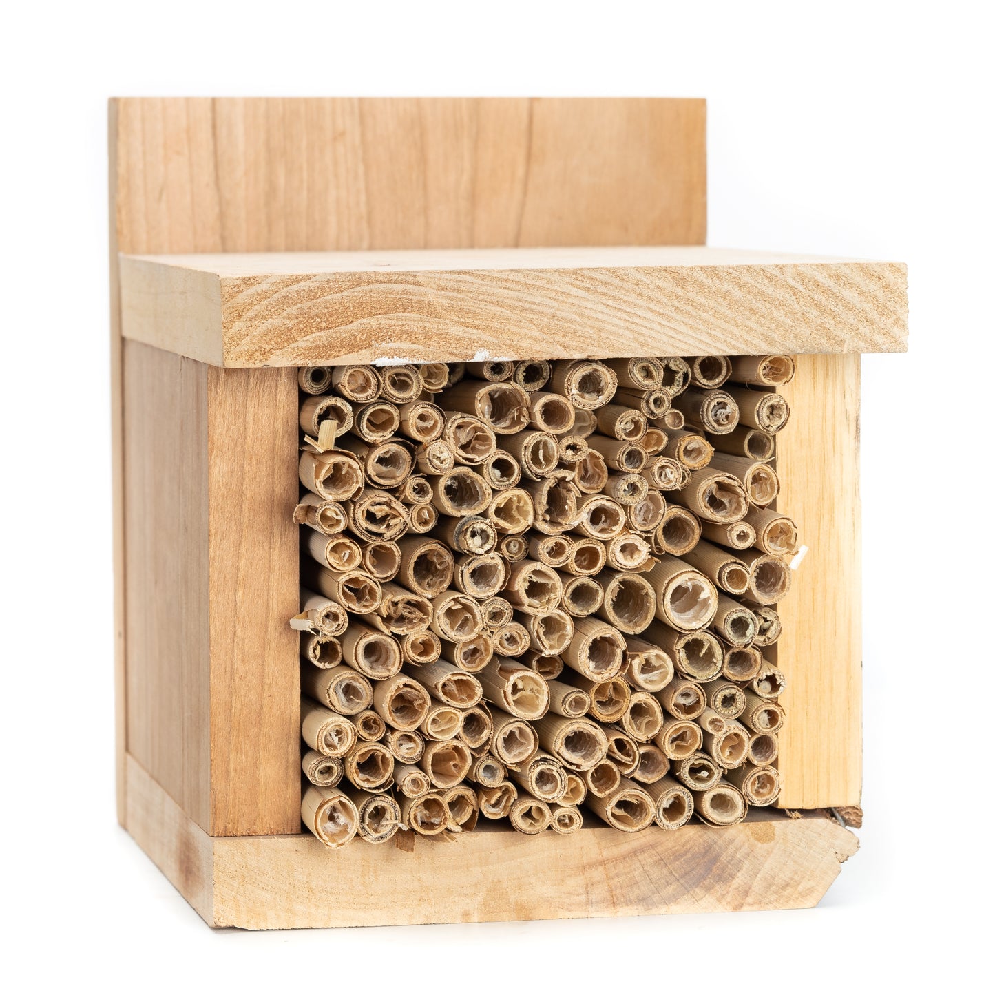 Native Bee Nesting Box