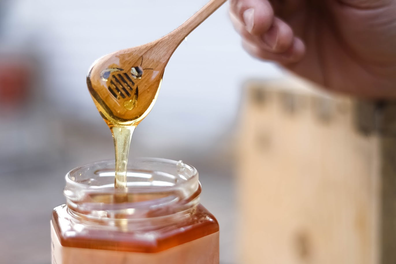 Raw Local Utah Hollow Tree Honey